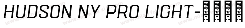 Hudson NY Pro Light字体转换